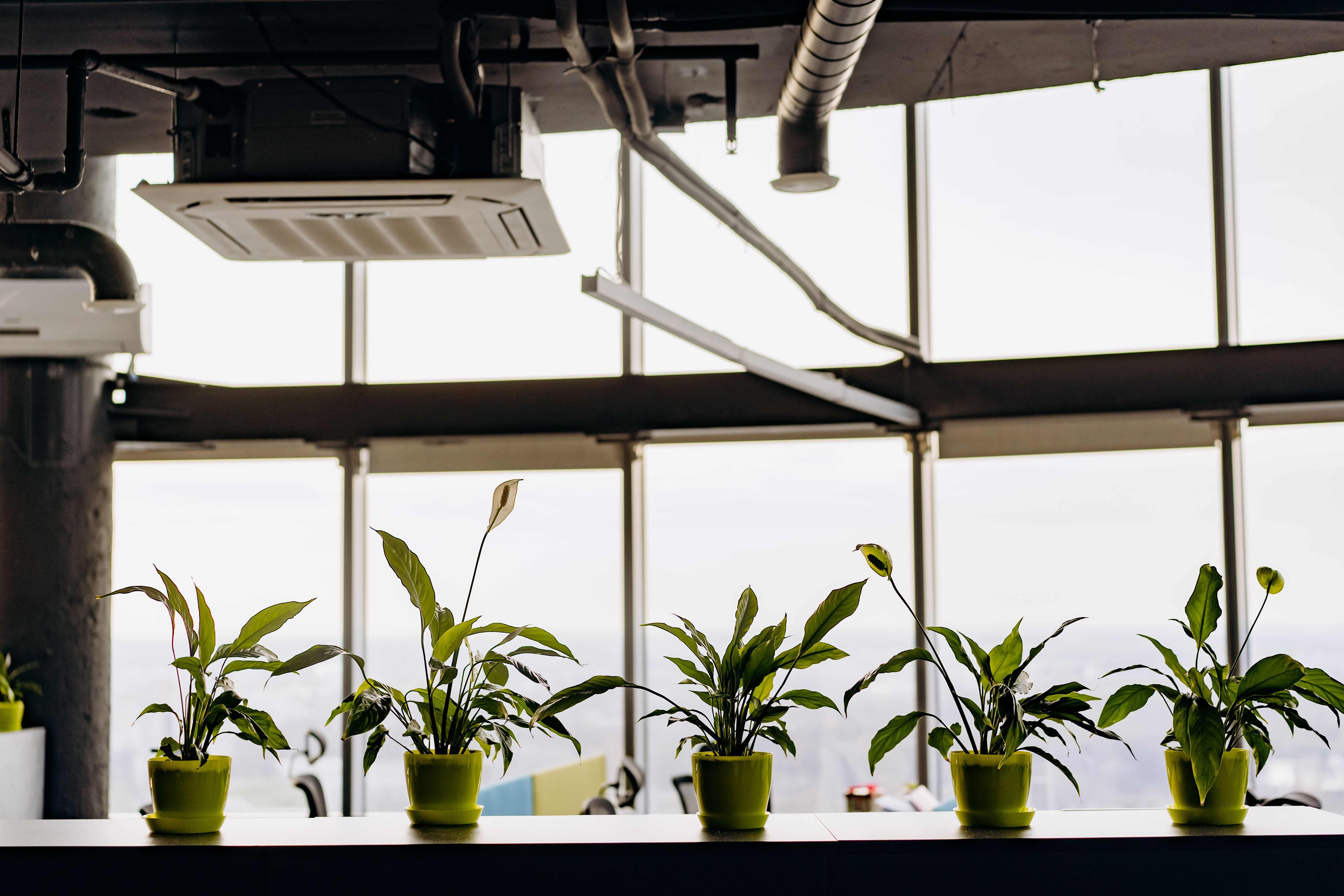 Indoor Air Quality